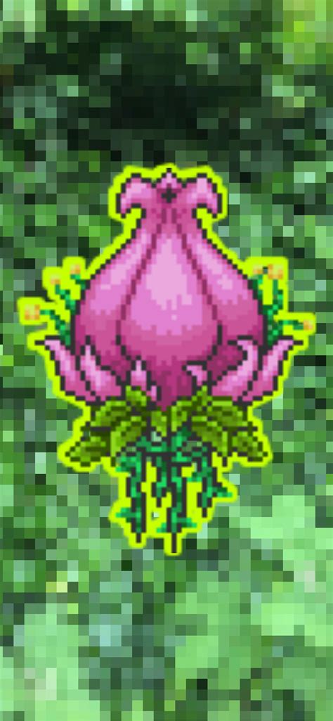 Plantera .